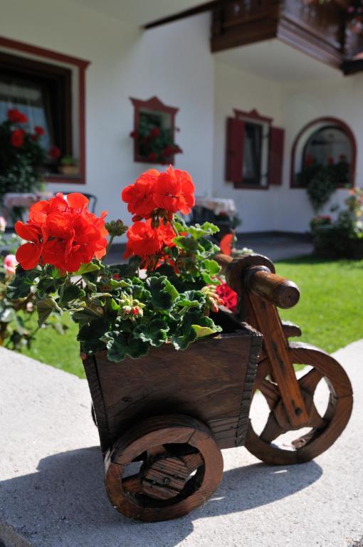 Hotel Garni Walter Ortisei Zewnętrze zdjęcie